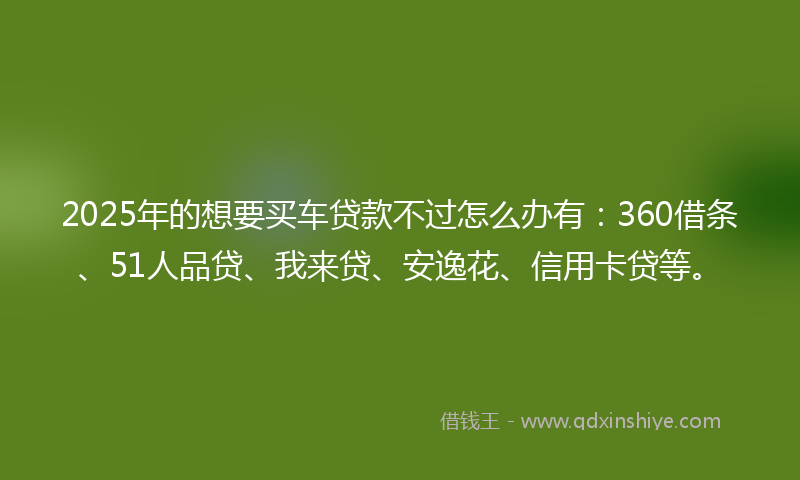 2025年的想要买车贷款不过怎么办有：360借条、51人品贷、我来贷、安逸花、信用卡贷等。