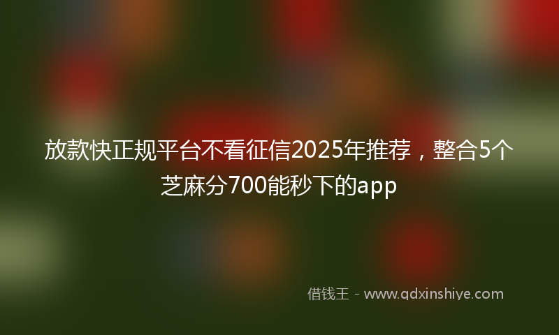 放款快正规平台不看征信2025年推荐，整合5个芝麻分700能秒下的app