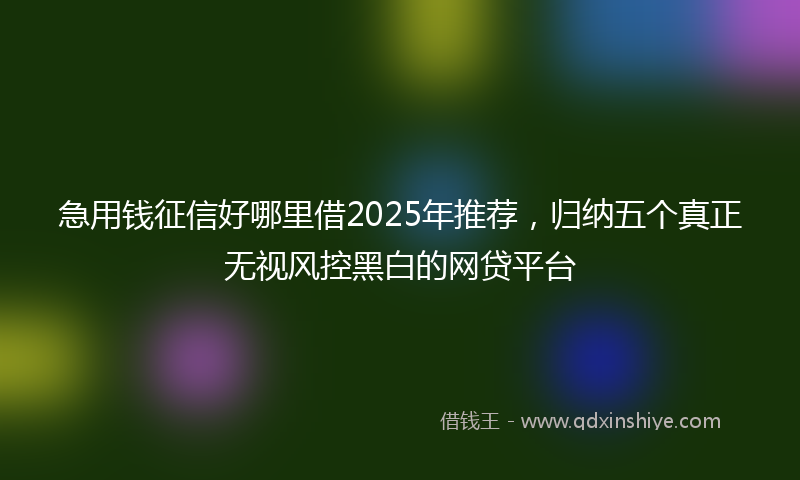 急用钱征信好哪里借2025年推荐，归纳五个真正无视风控黑白的网贷平台