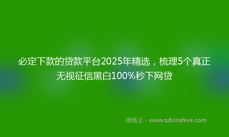 必定下款的贷款平台2025年精选，梳理5个真正无视征信黑白100%秒下网贷
