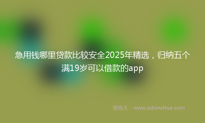 急用钱哪里贷款比较安全2025年精选，归纳五个满19岁可以借款的app