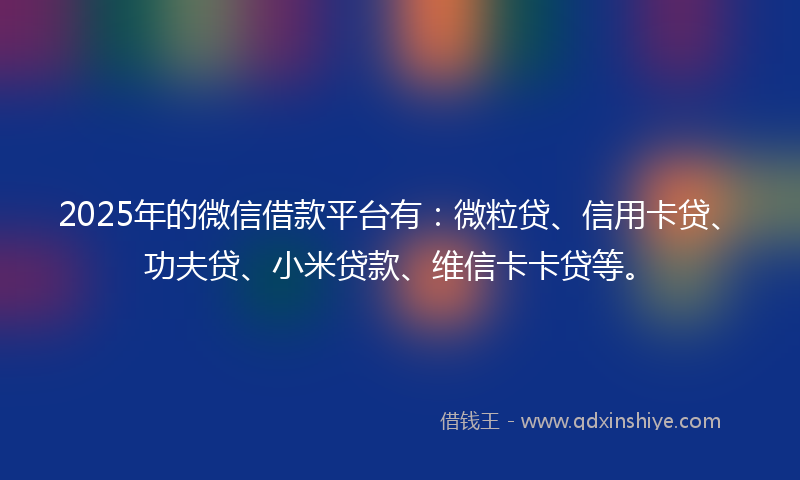 2025年的微信借款平台有：微粒贷、信用卡贷、功夫贷、小米贷款、维信卡卡贷等。
