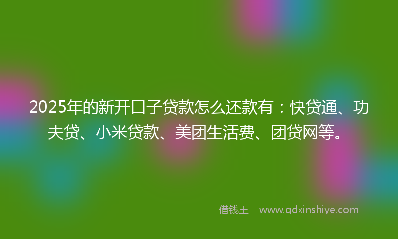 2025年的新开口子贷款怎么还款有：快贷通、功夫贷、小米贷款、美团生活费、团贷网等。