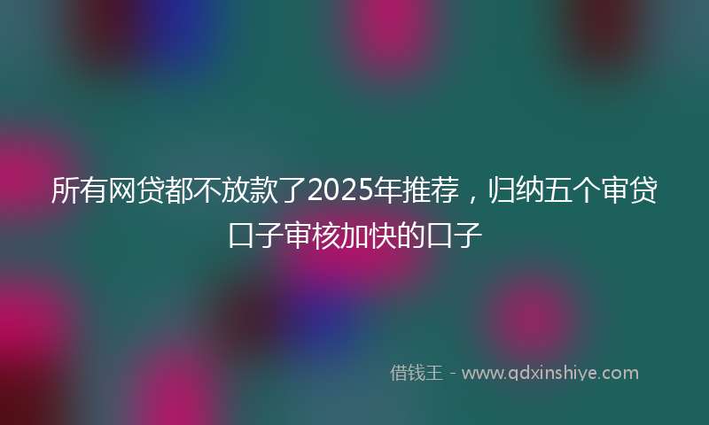 所有网贷都不放款了2025年推荐，归纳五个审贷口子审核加快的口子