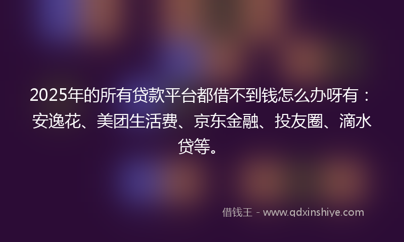 2025年的所有贷款平台都借不到钱怎么办呀有：安逸花、美团生活费、京东金融、投友圈、滴水贷等。