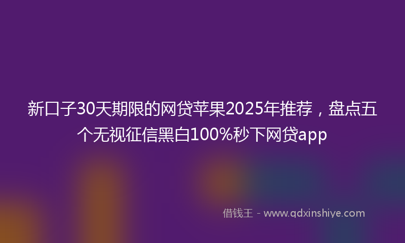 新口子30天期限的网贷苹果2025年推荐，盘点五个无视征信黑白100%秒下网贷app