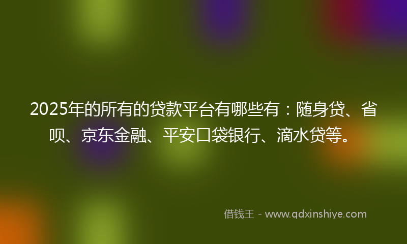 2025年的所有的贷款平台有哪些有：随身贷、省呗、京东金融、平安口袋银行、滴水贷等。