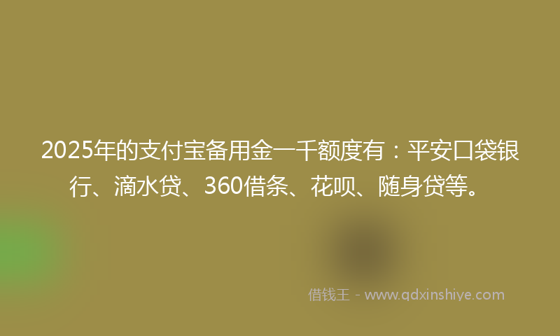 2025年的支付宝备用金一千额度有：平安口袋银行、滴水贷、360借条、花呗、随身贷等。