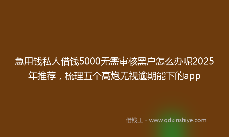 急用钱私人借钱5000无需审核黑户怎么办呢2025年推荐，梳理五个高炮无视逾期能下的app