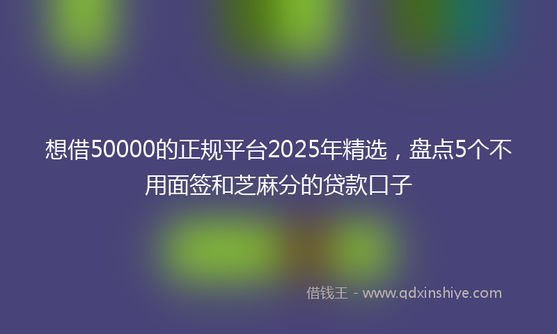 想借50000的正规平台2025年精选，盘点5个不用面签和芝麻分的贷款口子