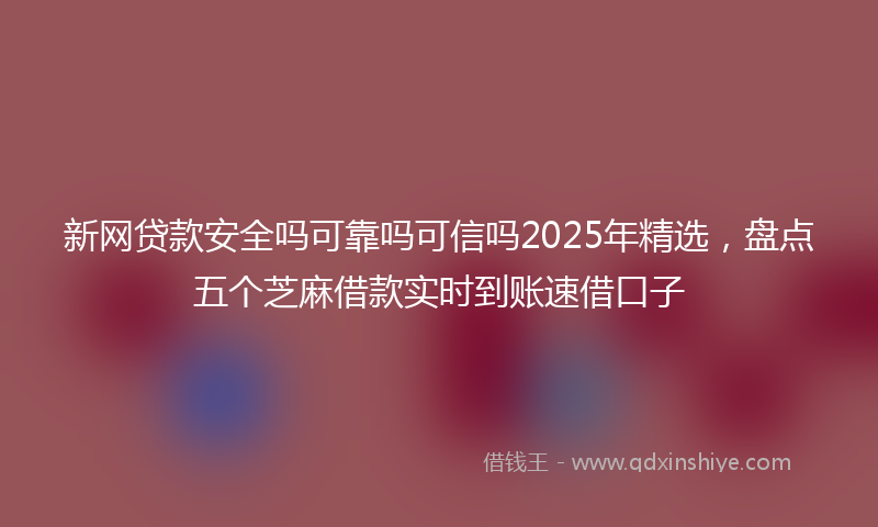 新网贷款安全吗可靠吗可信吗2025年精选，盘点五个芝麻借款实时到账速借口子