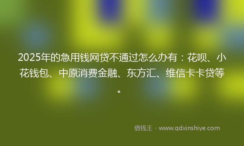 2025年的急用钱网贷不通过怎么办有：花呗、小花钱包、中原消费金融、东方汇、维信卡卡贷等。