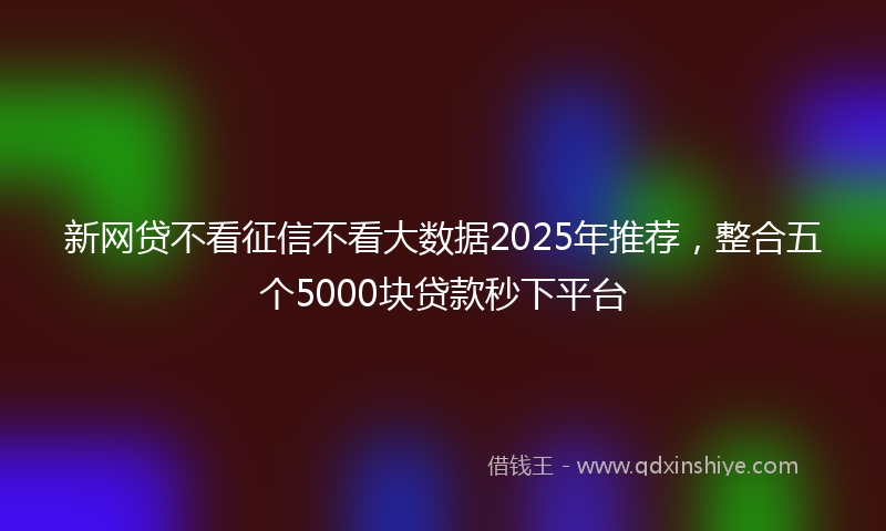 新网贷不看征信不看大数据2025年推荐，整合五个5000块贷款秒下平台