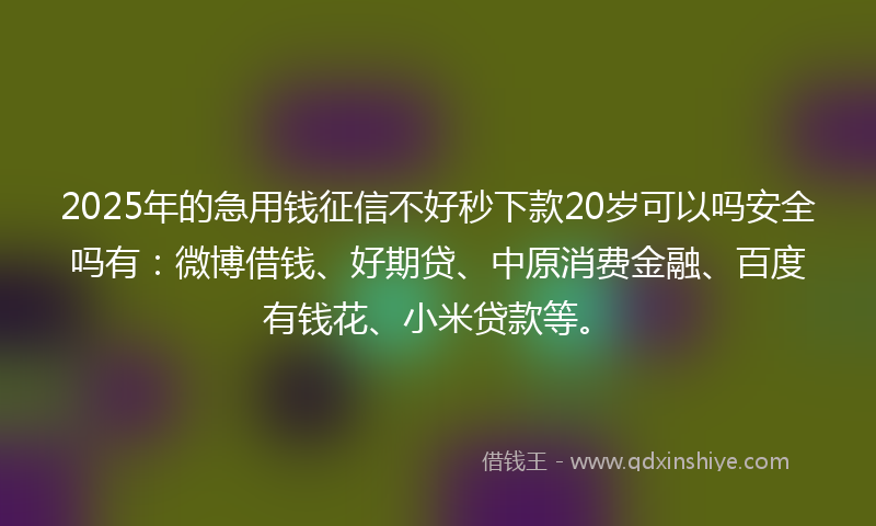 2025年的急用钱征信不好秒下款20岁可以吗安全吗有：微博借钱、好期贷、中原消费金融、百度有钱花、小米贷款等。