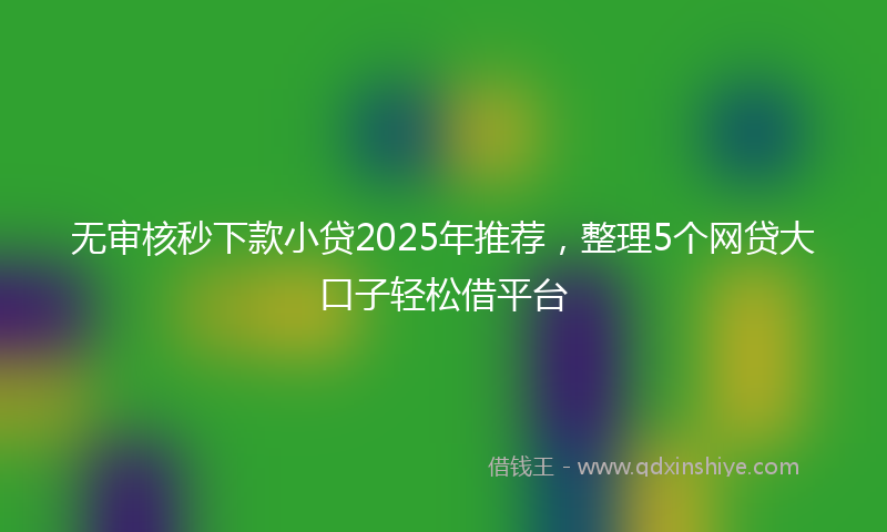 无审核秒下款小贷2025年推荐，整理5个网贷大口子轻松借平台