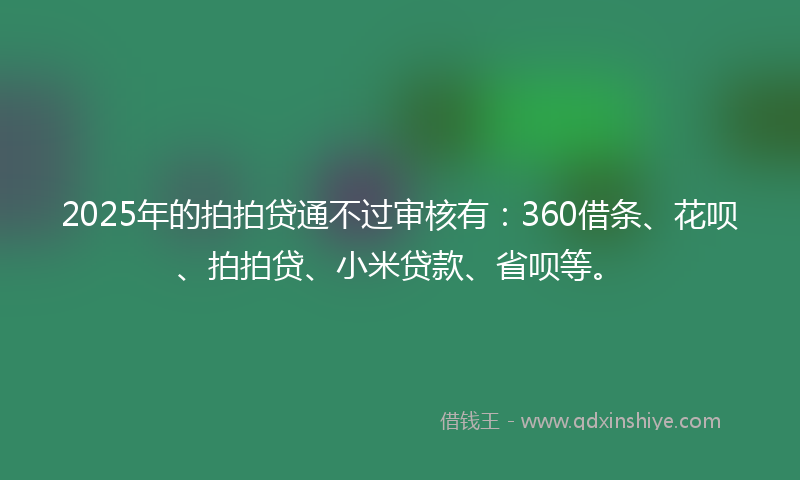 2025年的拍拍贷通不过审核有：360借条、花呗、拍拍贷、小米贷款、省呗等。