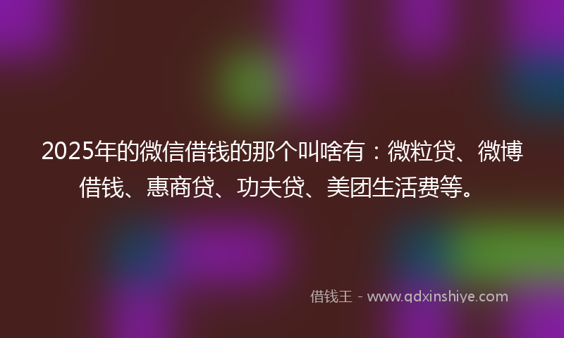 2025年的微信借钱的那个叫啥有：微粒贷、微博借钱、惠商贷、功夫贷、美团生活费等。