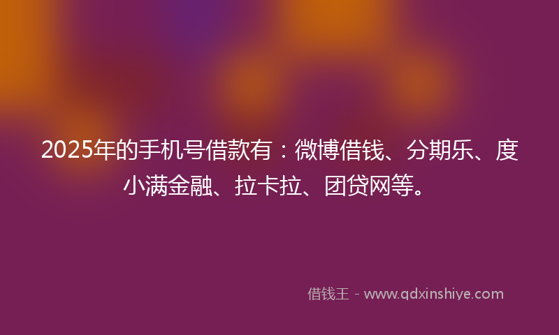 2025年的手机号借款有：微博借钱、分期乐、度小满金融、拉卡拉、团贷网等。