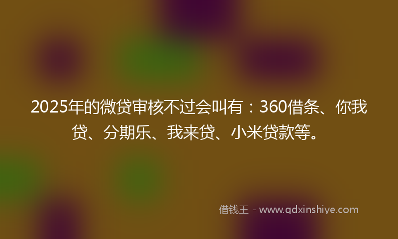 2025年的微贷审核不过会叫有：360借条、你我贷、分期乐、我来贷、小米贷款等。
