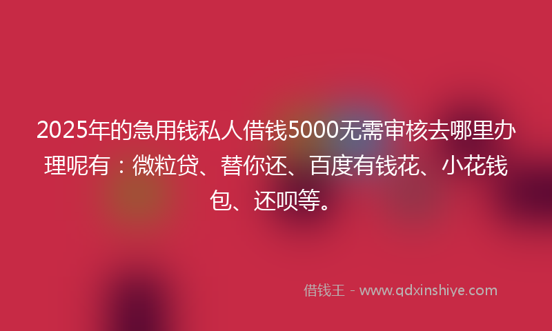 2025年的急用钱私人借钱5000无需审核去哪里办理呢有：微粒贷、替你还、百度有钱花、小花钱包、还呗等。
