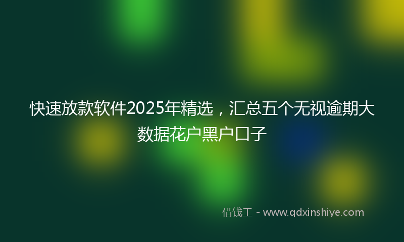 快速放款软件2025年精选，汇总五个无视逾期大数据花户黑户口子