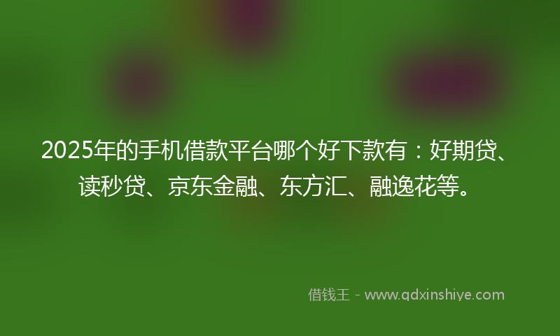 2025年的手机借款平台哪个好下款有：好期贷、读秒贷、京东金融、东方汇、融逸花等。