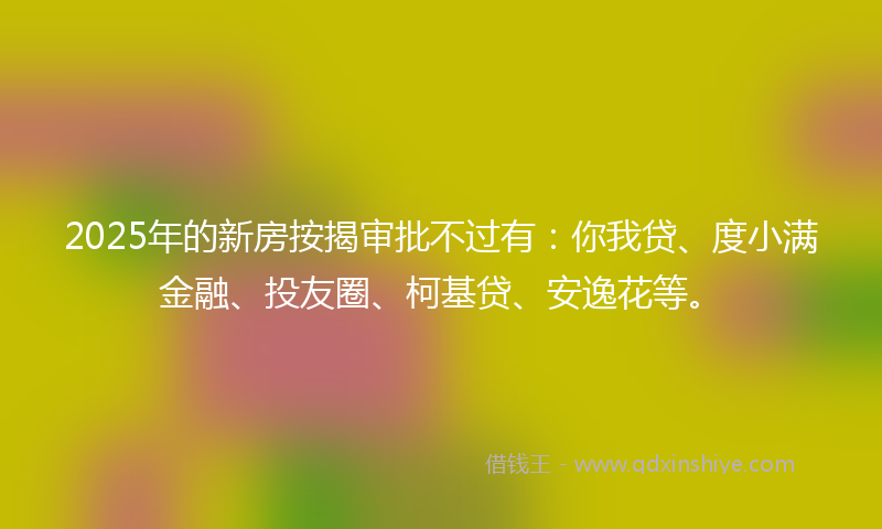 2025年的新房按揭审批不过有：你我贷、度小满金融、投友圈、柯基贷、安逸花等。