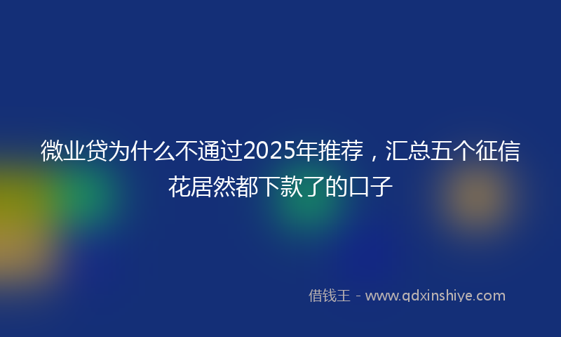 微业贷为什么不通过2025年推荐，汇总五个征信花居然都下款了的口子