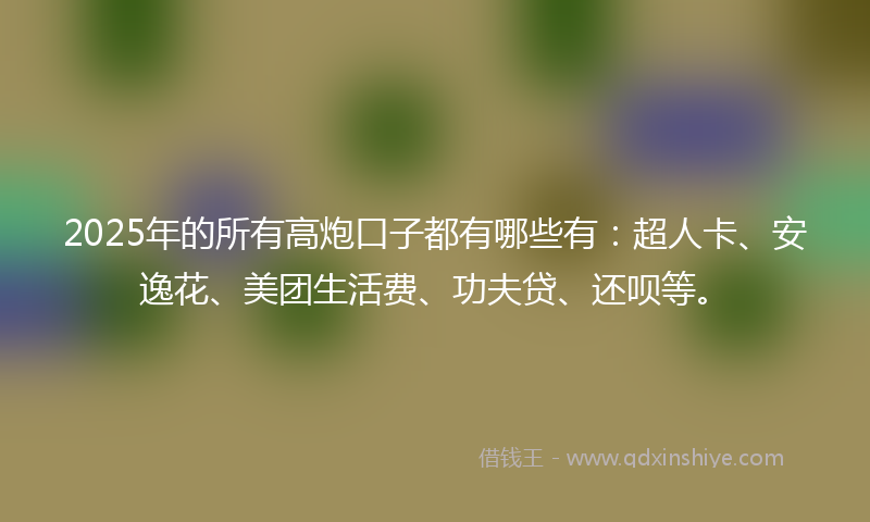 2025年的所有高炮口子都有哪些有：超人卡、安逸花、美团生活费、功夫贷、还呗等。