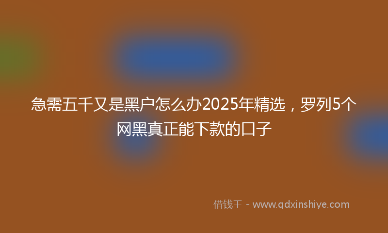 急需五千又是黑户怎么办2025年精选，罗列5个网黑真正能下款的口子