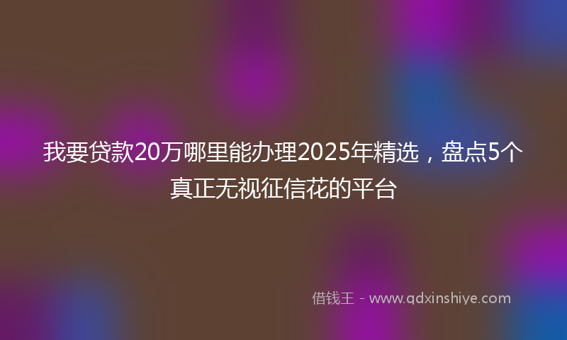 我要贷款20万哪里能办理2025年精选，盘点5个真正无视征信花的平台