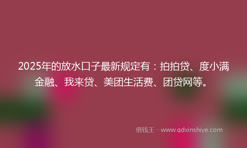 2025年的放水口子最新规定有：拍拍贷、度小满金融、我来贷、美团生活费、团贷网等。