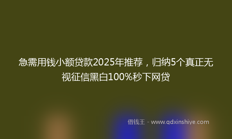 急需用钱小额贷款2025年推荐，归纳5个真正无视征信黑白100%秒下网贷