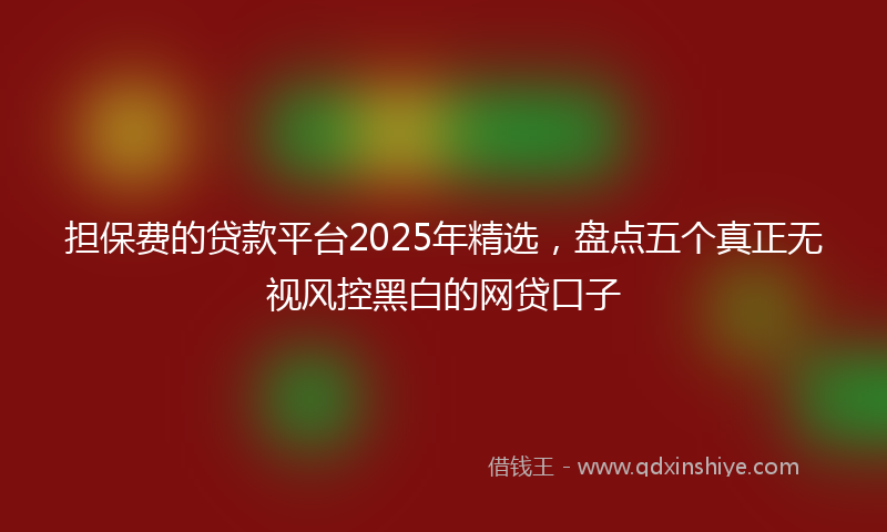 担保费的贷款平台2025年精选，盘点五个真正无视风控黑白的网贷口子