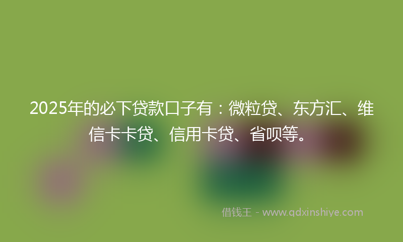 2025年的必下贷款口子有：微粒贷、东方汇、维信卡卡贷、信用卡贷、省呗等。