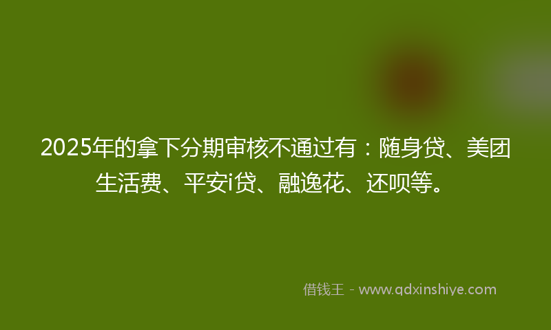 2025年的拿下分期审核不通过有：随身贷、美团生活费、平安i贷、融逸花、还呗等。