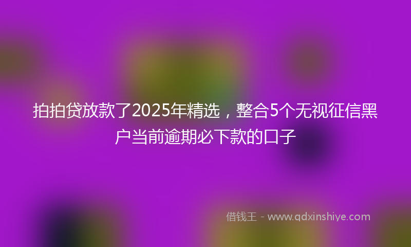 拍拍贷放款了2025年精选，整合5个无视征信黑户当前逾期必下款的口子