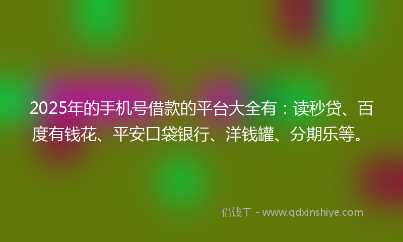 2025年的手机号借款的平台大全有：读秒贷、百度有钱花、平安口袋银行、洋钱罐、分期乐等。
