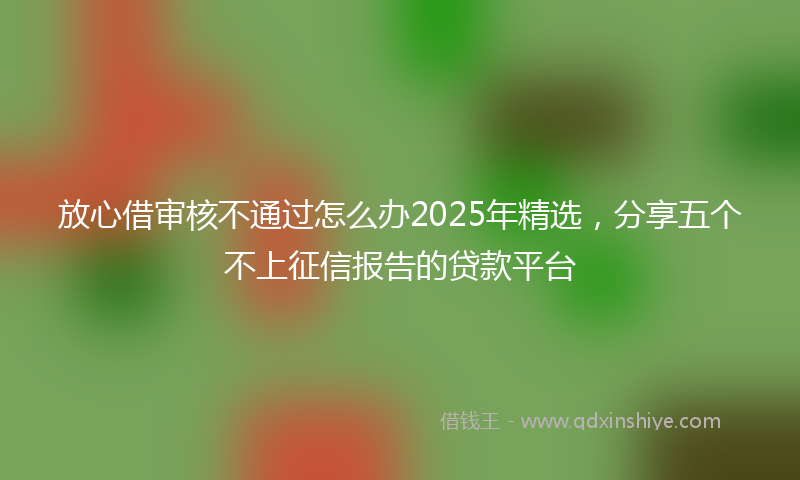 放心借审核不通过怎么办2025年精选，分享五个不上征信报告的贷款平台