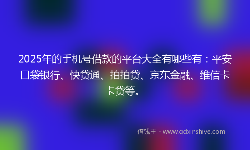 2025年的手机号借款的平台大全有哪些有：平安口袋银行、快贷通、拍拍贷、京东金融、维信卡卡贷等。