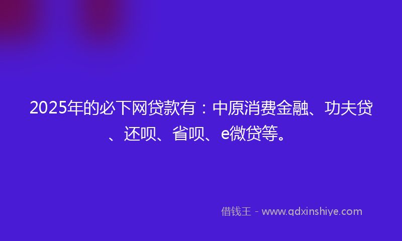 2025年的必下网贷款有：中原消费金融、功夫贷、还呗、省呗、e微贷等。