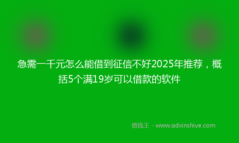 急需一千元怎么能借到征信不好2025年推荐，概括5个满19岁可以借款的软件