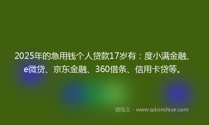 2025年的急用钱个人贷款17岁有：度小满金融、e微贷、京东金融、360借条、信用卡贷等。