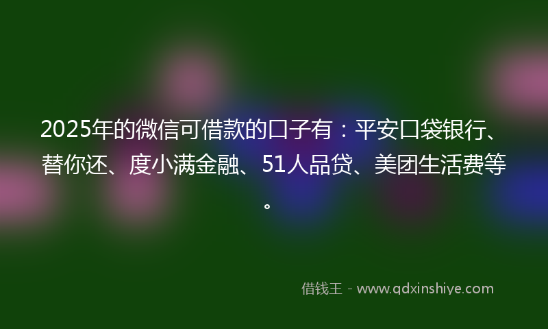 2025年的微信可借款的口子有：平安口袋银行、替你还、度小满金融、51人品贷、美团生活费等。