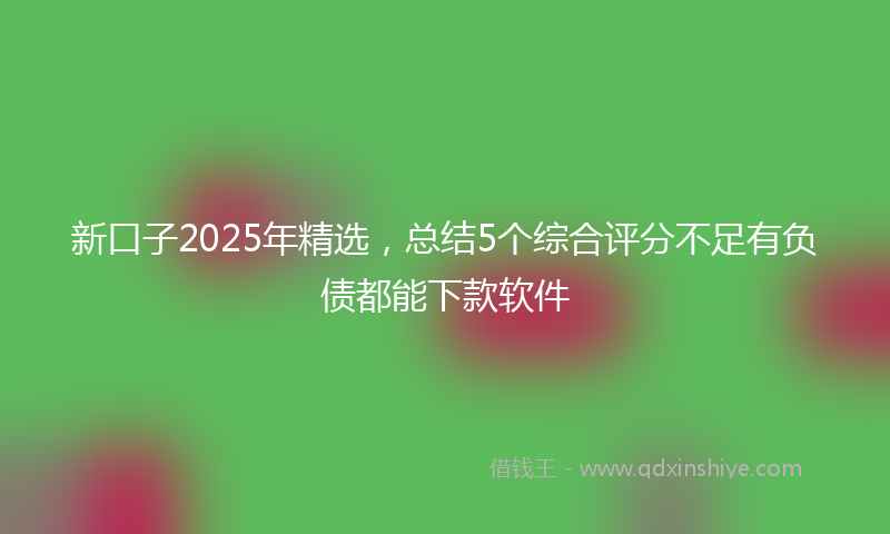 新口子2025年精选，总结5个综合评分不足有负债都能下款软件