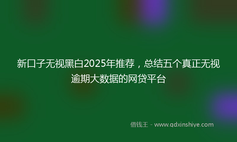 新口子无视黑白2025年推荐，总结五个真正无视逾期大数据的网贷平台