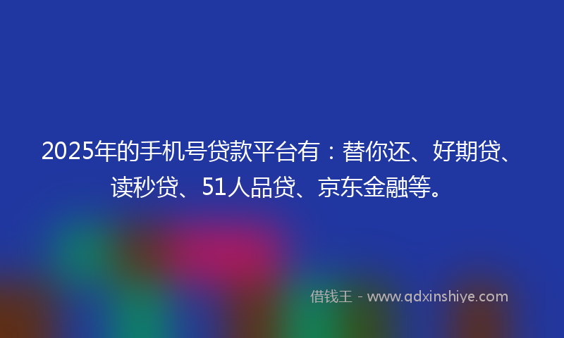2025年的手机号贷款平台有：替你还、好期贷、读秒贷、51人品贷、京东金融等。