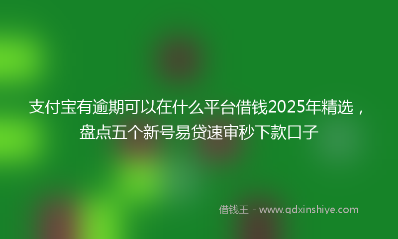 支付宝有逾期可以在什么平台借钱2025年精选，盘点五个新号易贷速审秒下款口子