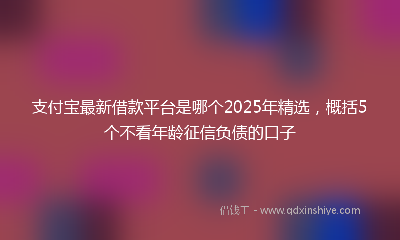 支付宝最新借款平台是哪个2025年精选，概括5个不看年龄征信负债的口子