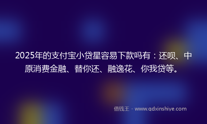 2025年的支付宝小贷星容易下款吗有：还呗、中原消费金融、替你还、融逸花、你我贷等。